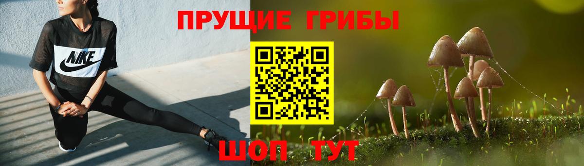 Галлюциногенные грибы Psilocybine cubensis  купить наркоту  Татарск  Галлюциногенные грибы Magic Shrooms  Вход с VPN 